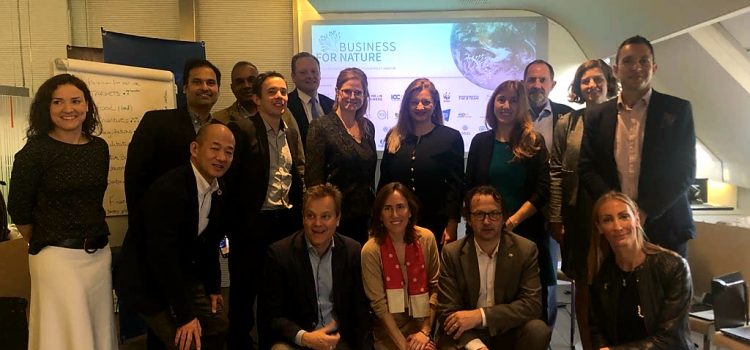 Συμμετοχή Δρος Αυγερινοπούλου στην Εβδομάδα Φυσικού Κεφαλαίου στη Μαδρίτη, Ισπανία Πρωτοβουλία ίδρυσης Ελληνικής Συνεργασίας για τις Επιχειρήσεις και τη Βιοποικιλότητα