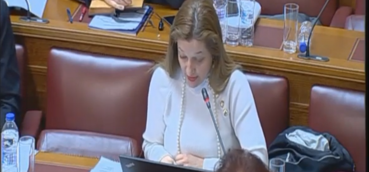 Εισήγηση Αυγερινοπούλου στο Νομοσχέδιο για την Πολιτική Προστασία και την Πρόληψη και Αντιμετώπιση Φυσικών Καταστροφών και Κρίσεων από το Υπουργείο Προστασίας του Πολίτη