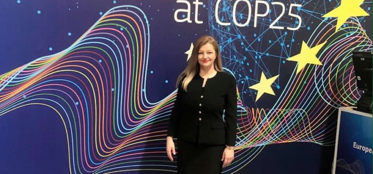 Συμμετοχή του Cluster Ενέργειας και Περιβάλλοντος στη διαδικτυακή διαβούλευση του ΙCC για την COP26