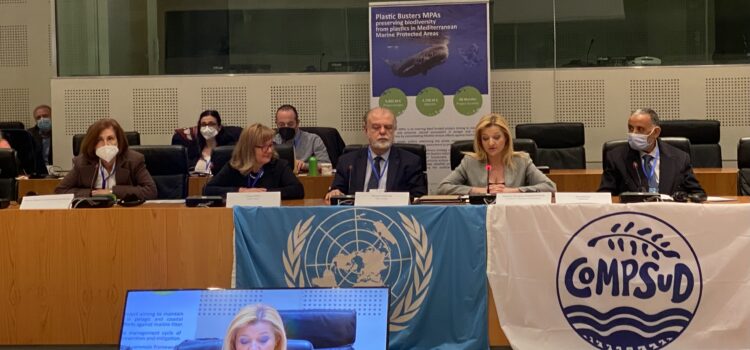 Κεντρική ομιλήτρια σε διεθνές φόρουμ η Δ. Αυγερινοπούλου για τα πλαστικά απορρίμματα που απειλούν τη Μεσόγειο