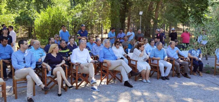 Δήλωση Αυγερινοπούλου για την Ημέρα Περιβάλλοντος 2022 και τη δράση για την Πολιτική Προστασία