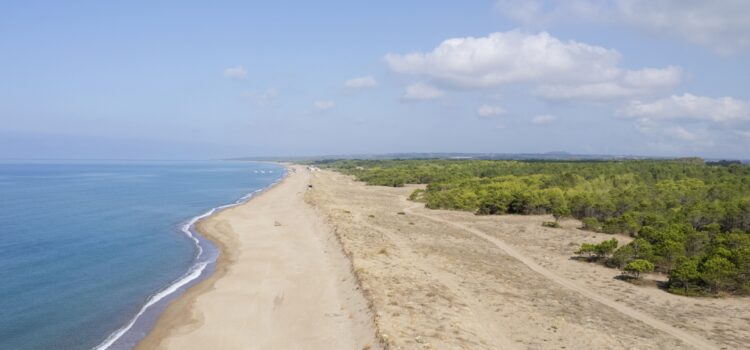 Εξαίρεση της παραλίας Μπούκας Πηνειού από τις «Απάτητες Παραλίες» με την υπογραφή της νέας ΚΥΑ